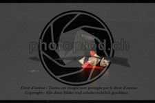 ref. photo 3634789