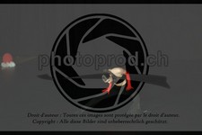 ref. photo 3634796