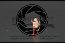 ref. photo 3634797