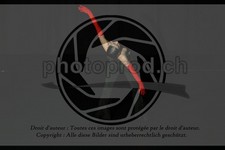 ref. photo 3634800