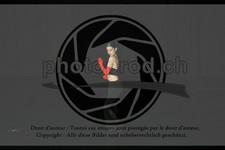 ref. photo 3634803