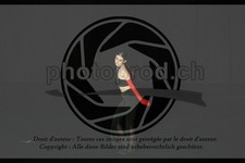 ref. photo 3634804