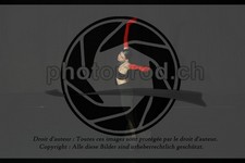 ref. photo 3634809