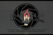 ref. photo 3634813