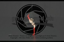 ref. photo 3634819