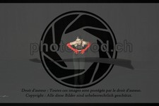 ref. photo 3634827
