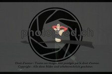 ref. photo 3634829
