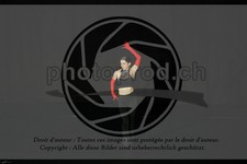 ref. photo 3634831