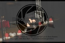 ref. photo 3634851