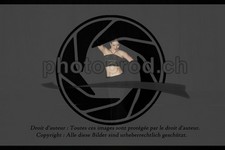 ref. photo 3634874