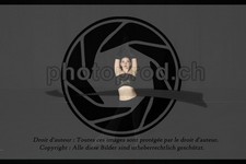 ref. photo 3634881