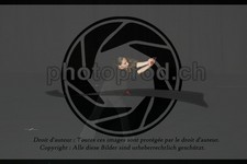 ref. photo 3634973