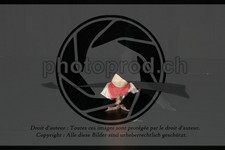 ref. photo 3634980