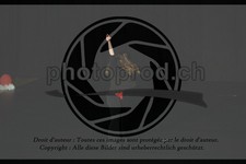 ref. photo 3634991