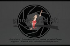ref. photo 3635019