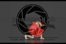 ref. photo 3635107