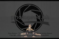 ref. photo 3635143