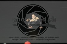 ref. photo 3635144