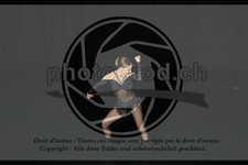 ref. photo 3635151
