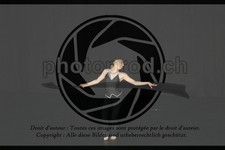 ref. photo 3635186