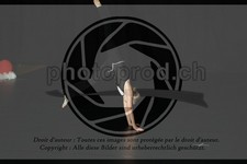 ref. photo 3635227