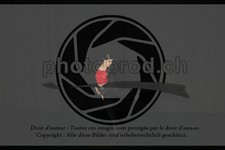 ref. photo 3635240