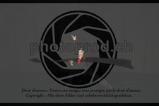 ref. photo 3635243