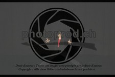 ref. photo 3635244
