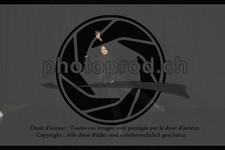 ref. photo 3635251