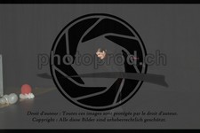 ref. photo 3635253