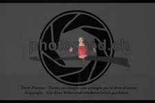 ref. photo 3635254