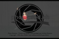 ref. photo 3635258