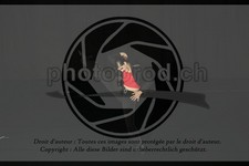 ref. photo 3635278