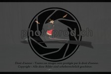 ref. photo 3635281