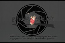 ref. photo 3635290