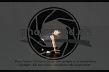 ref. photo 3635384