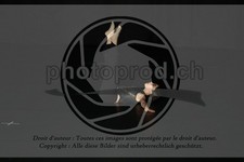 ref. photo 3635389