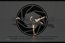 ref. photo 3635391