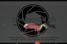ref. photo 3635505