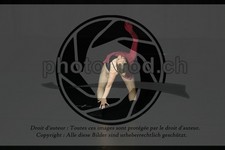 ref. photo 3635507
