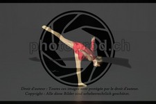 ref. photo 3635593