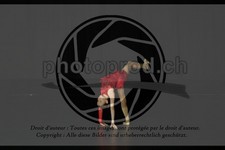 ref. photo 3635616