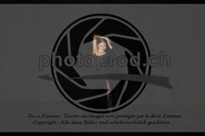 ref. photo 3635638