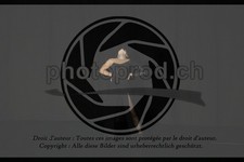 ref. photo 3635640
