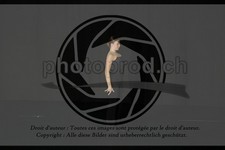 ref. photo 3635645