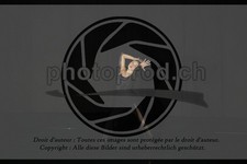 ref. photo 3635650