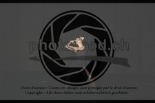 ref. photo 3635651