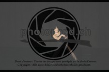 ref. photo 3635656