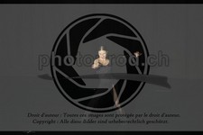 ref. photo 3635666
