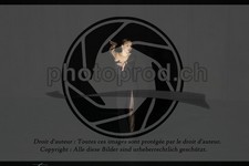 ref. photo 3635672